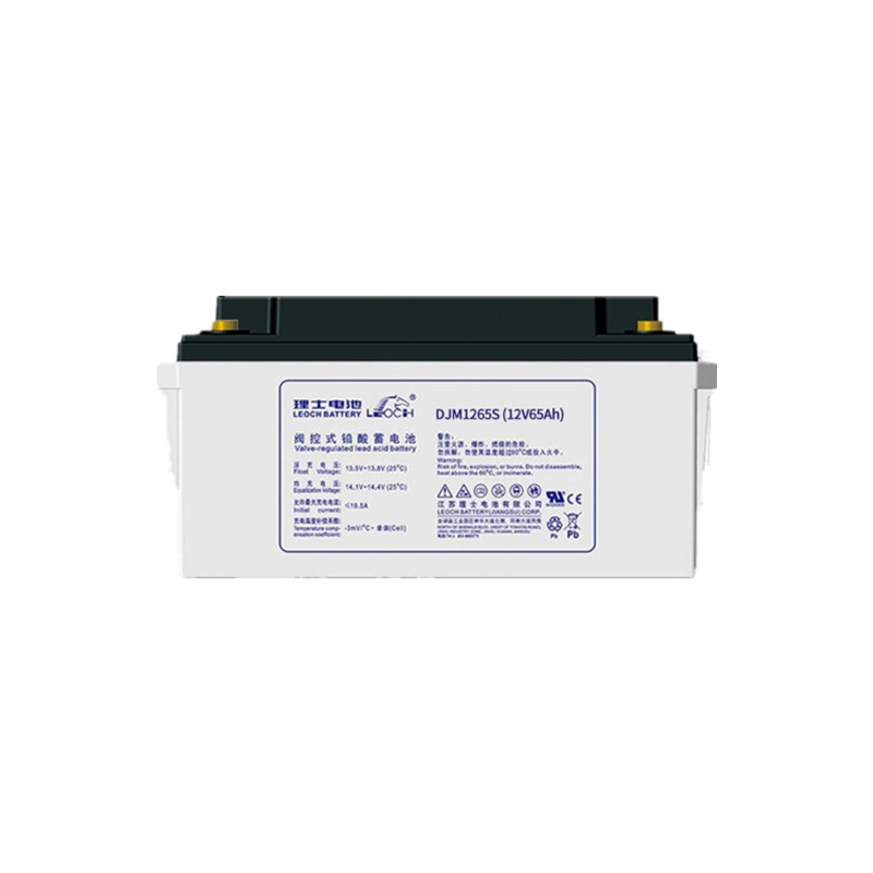 山东理士蓄电池DJM1265（12V65AH）
