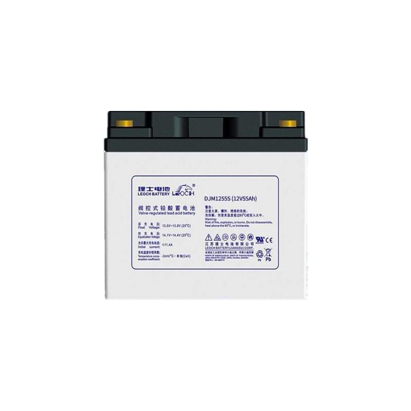 山东理士蓄电池DJM1255（12V55AH）